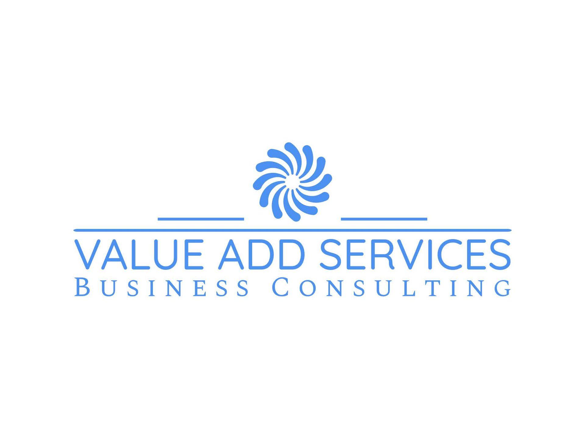 Value Add Services Business Consulting logo with blue swirl design on white background.